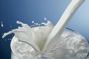 О выявлении линкомицина в образцах молока питьевого