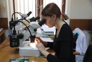Специалисты Астраханского филиала прошли курсы повышения квалификации в сфере карантина растений