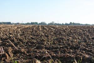 На территории Астраханской области проводится работа по выявлению нарушений, связанных с самовольным снятием плодородного слоя почвы