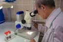 Волгоградские микробиологи регулярно подтверждают компетентность через МСИ