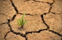 Деградация почв: понятие, причины и последствия
