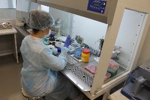 Лаборатория по диагностике АЧС и других особо опасных заболеваний животных успешно прошла этап МСИ