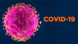 Ведущие ученые научных институтов Россельхознадзора отвечают на самые распространенные вопросы о рисках заражения животных новой коронавирусной инфекцией (COVID-19)
