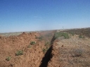 В Астраханской области установлено существенное снижение плодородия почвы на землях сельскохозяйственного назначения
