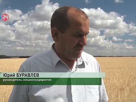 Контроль сортовых качеств посевов в Ростовской области