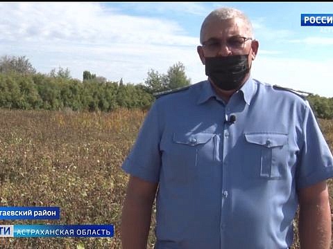 В Астраханской области выявили более 100 гектаров неиспользованных сельхозземель