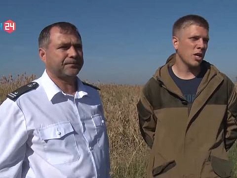 Уборка риса в Ростовской области