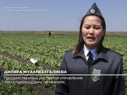 Фитосанитарный мониторинг на территории Астраханской области