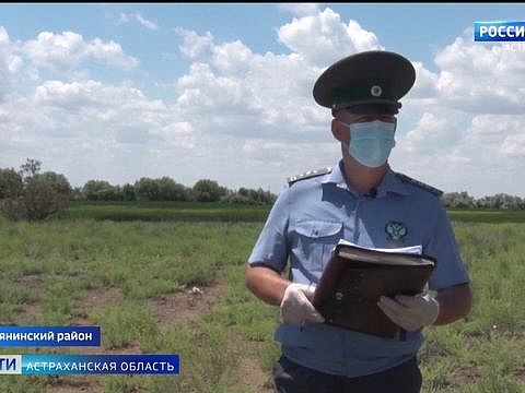 В Икрянинском районе выявили порядка 50 гектаров неиспользованных сельхозземель