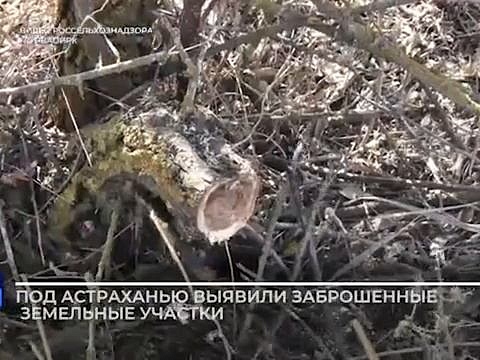 Сотрудники Россельнадзора выявили в Камызякском районе, заброшенные сельскохозяйственные земли